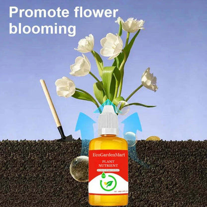 2+1 Free | Faster Plant Recovery